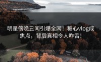 明星傍晚丑闻引爆全网！糖心vlog成焦点，背后真相令人咋舌！