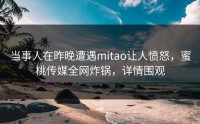 当事人在昨晚遭遇mitao让人愤怒，蜜桃传媒全网炸锅，详情围观