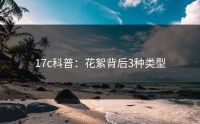 17c科普：花絮背后3种类型