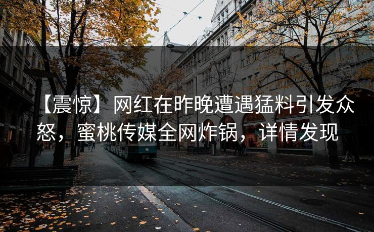 【震惊】网红在昨晚遭遇猛料引发众怒,蜜桃传媒全网炸锅,详情发现 【震惊】网红在昨晚遭遇猛料引发众怒,蜜桃传媒全网炸锅,详情发现