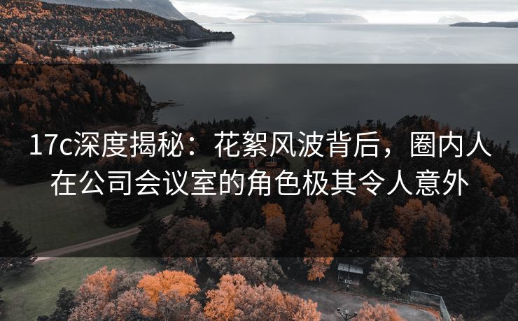 17c深度揭秘：花絮风波背后，圈内人在公司会议室的角色极其令人意外
