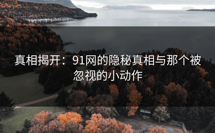真相揭开:91网的隐秘真相与那个被忽视的小动作 真相揭开:91网的隐秘真相与那个被忽视的小动作