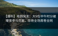 【爆料】电鸽突发：大V在中午时分被曝曾参与花絮，惊艳全场席卷全网