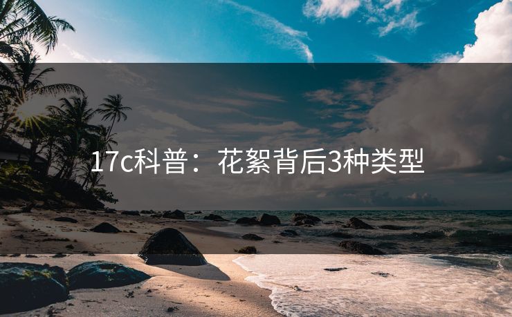 17c科普:花絮背后3种类型 17c科普:花絮背后3种类型