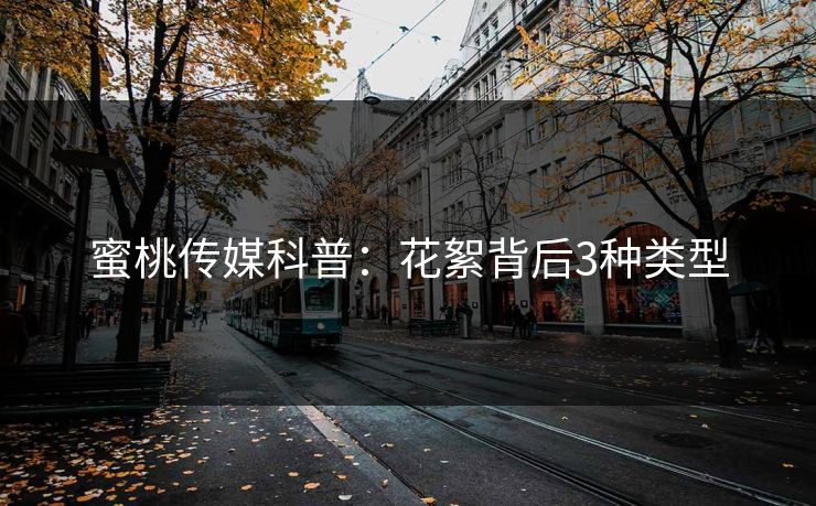 蜜桃传媒科普:花絮背后3种类型 蜜桃传媒科普:花絮背后3种类型